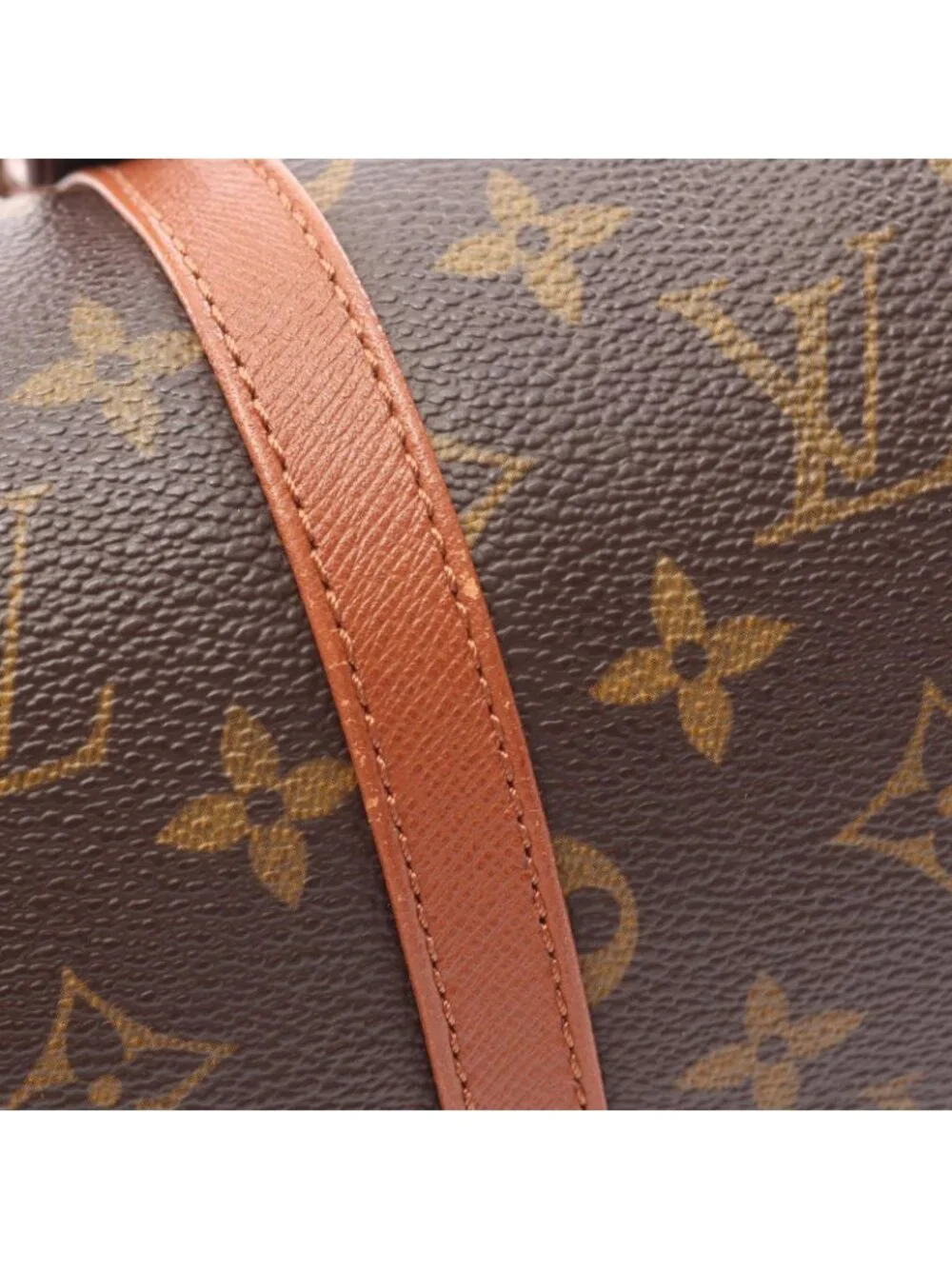 Louis Vuitton Handbag Papillon 30 Canvas Leather GM